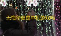 无悔华夏是单机游戏吗